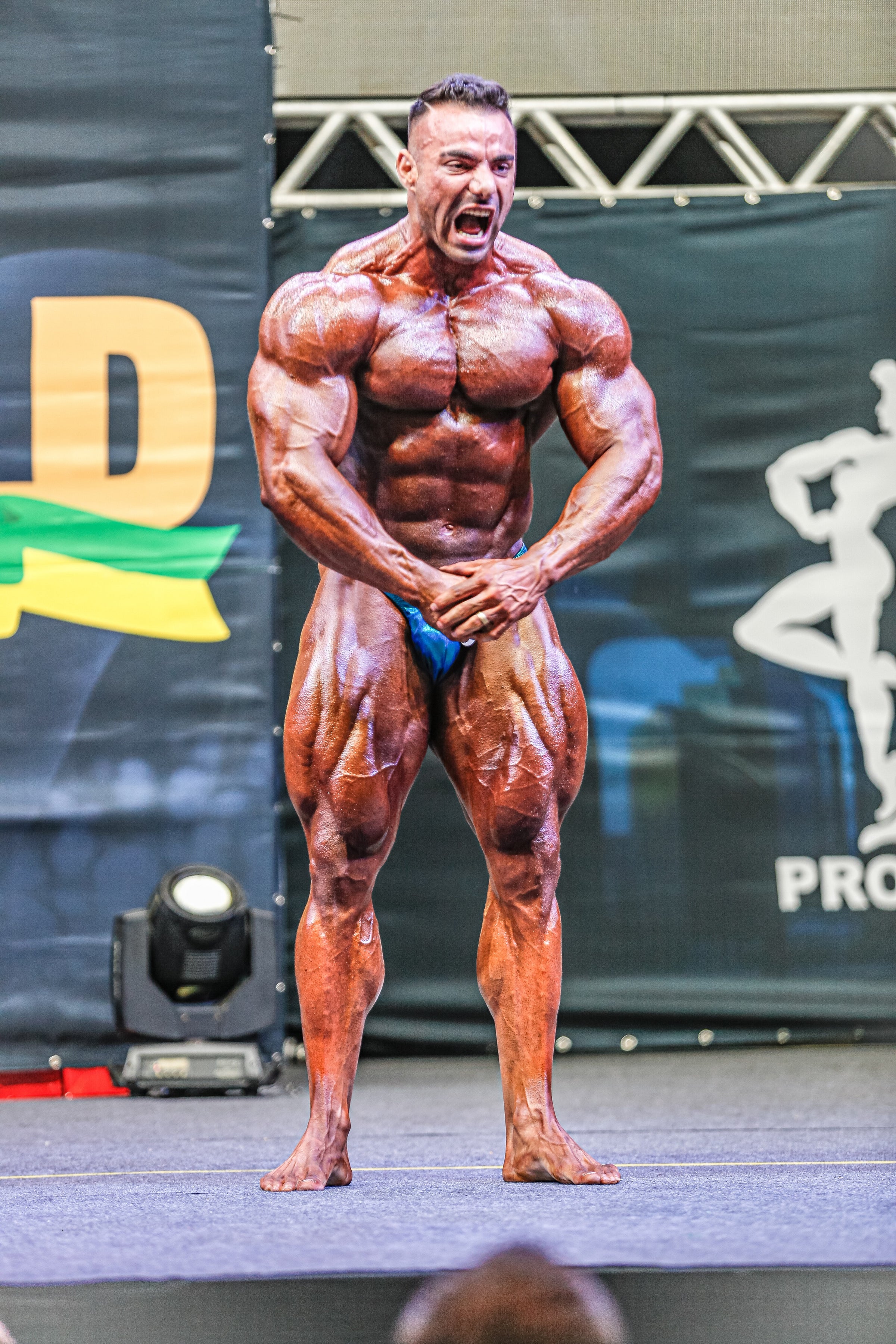 FITNESS & BODYBUILDING SUPPLEMENTEN